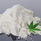 Illustration for article titled Between CBD Isolates and Cannabis Plant Which is BETTER?